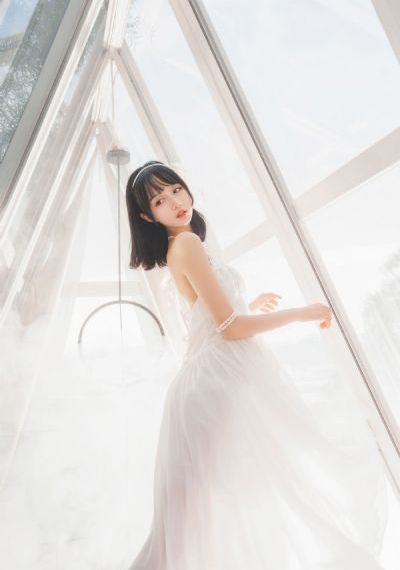 变形金刚4