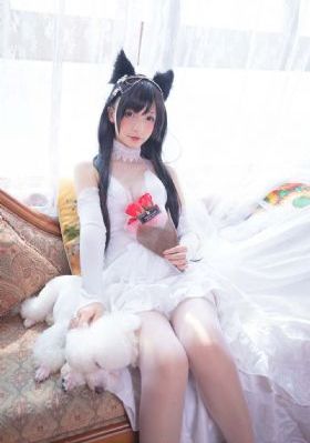 双星阴阳师